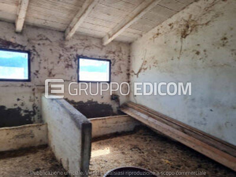 immagine annuncio 6 di 12
