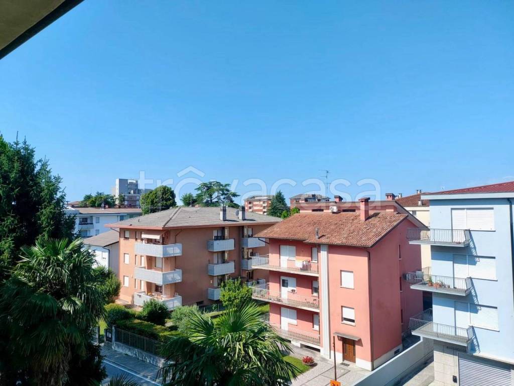 immagine annuncio 6 di 12