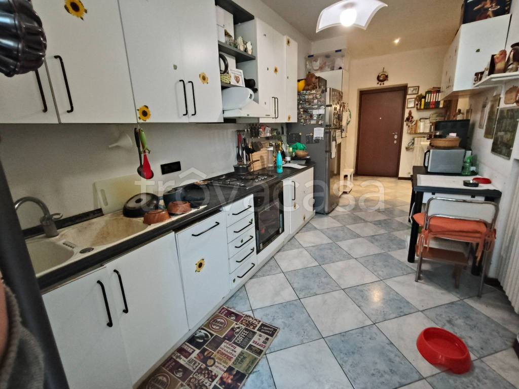 immagine annuncio 5 di 14
