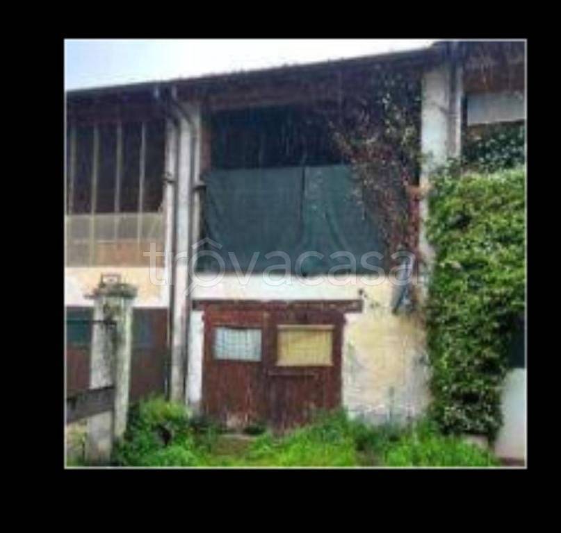 immagine annuncio 4 di 11