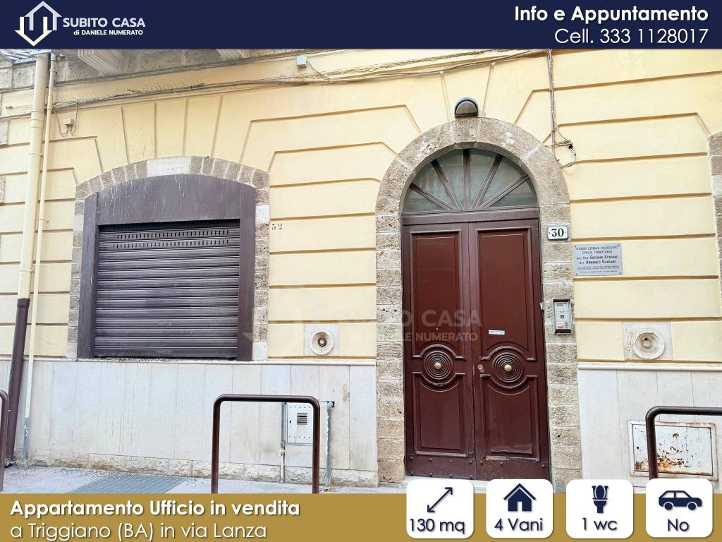 immagine annuncio 1 di 14