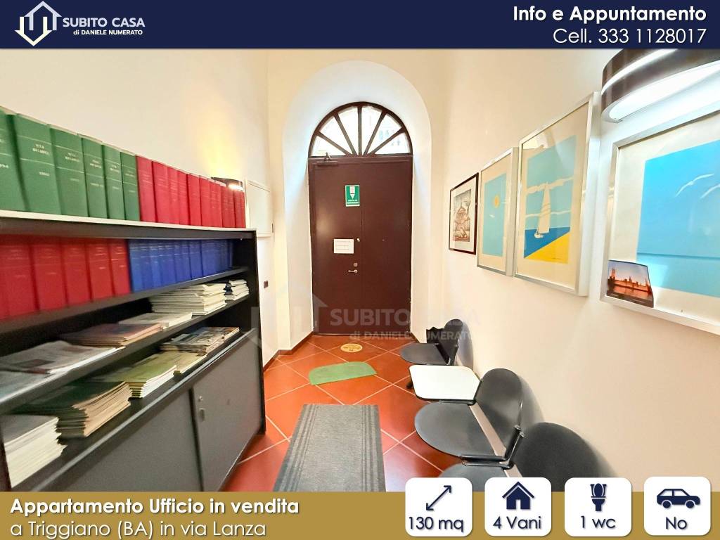 immagine annuncio 2 di 14