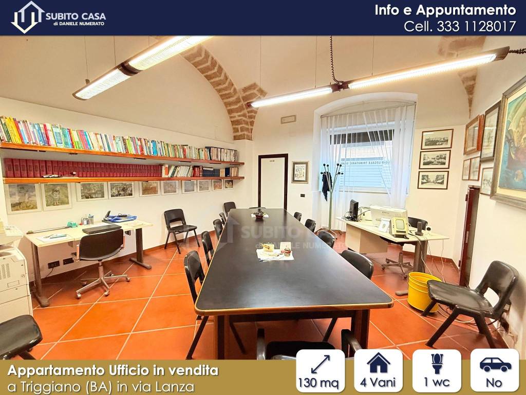 immagine annuncio 3 di 14