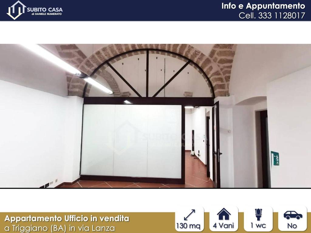 immagine annuncio 6 di 14