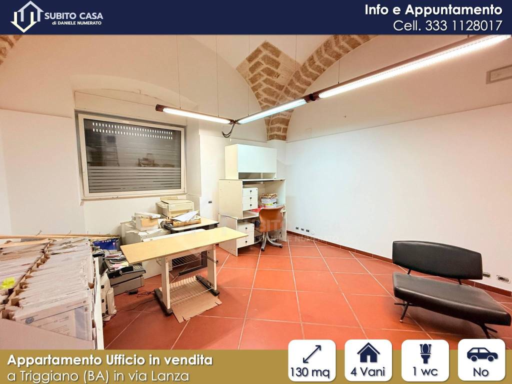 immagine annuncio 7 di 14