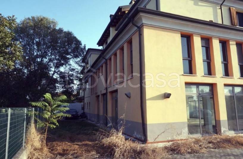immagine annuncio 5 di 9