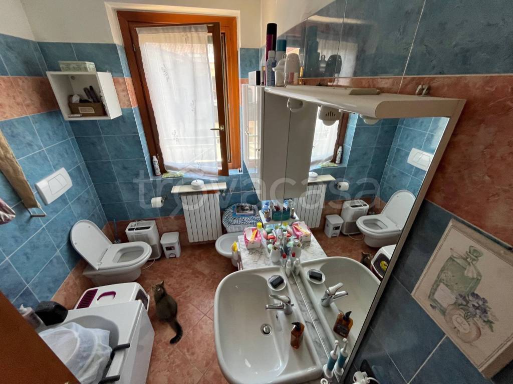 immagine annuncio 5 di 8