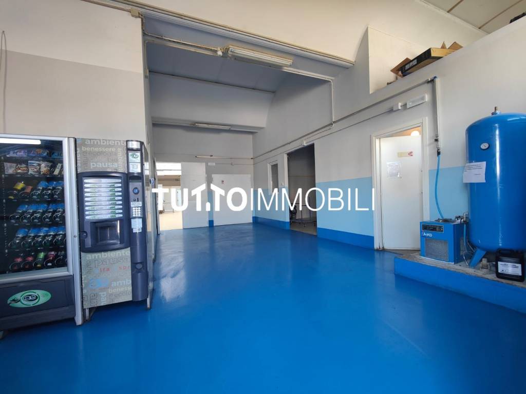immagine annuncio 9 di 14