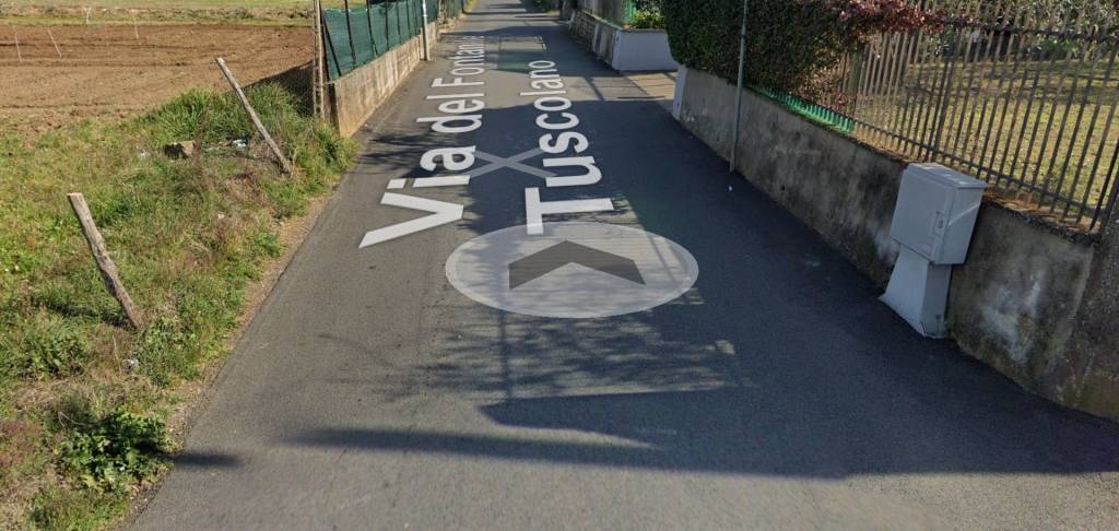 immagine annuncio 6 di 11