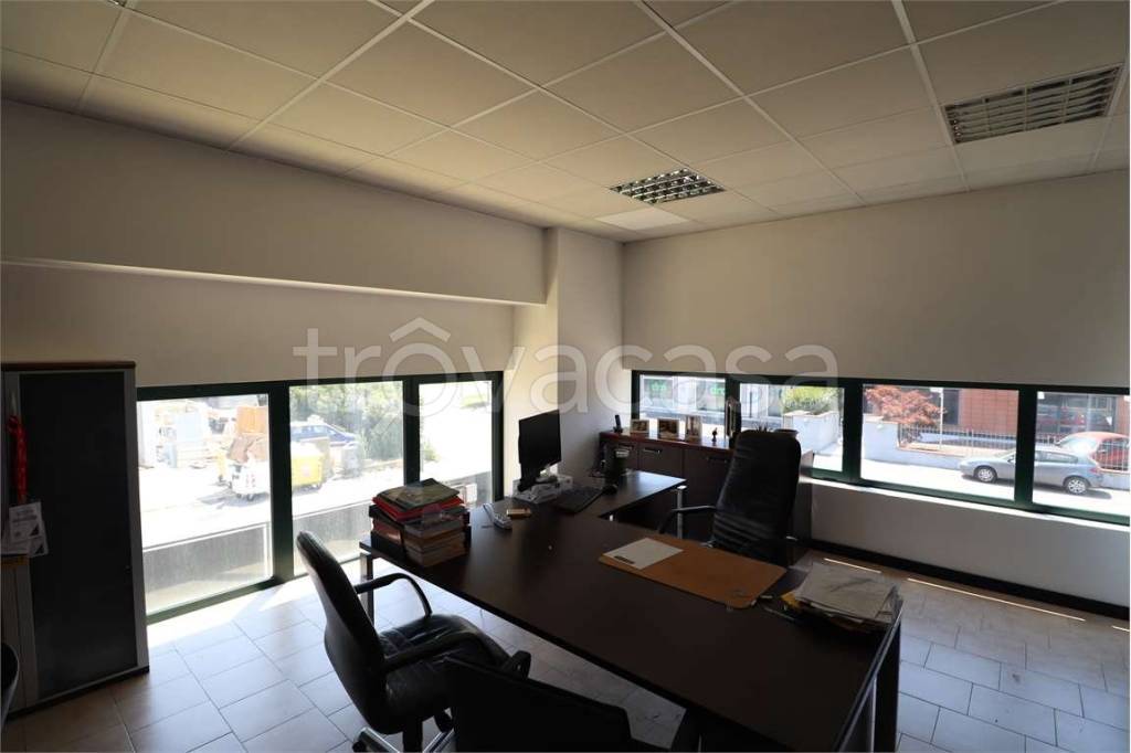 immagine annuncio 5 di 9