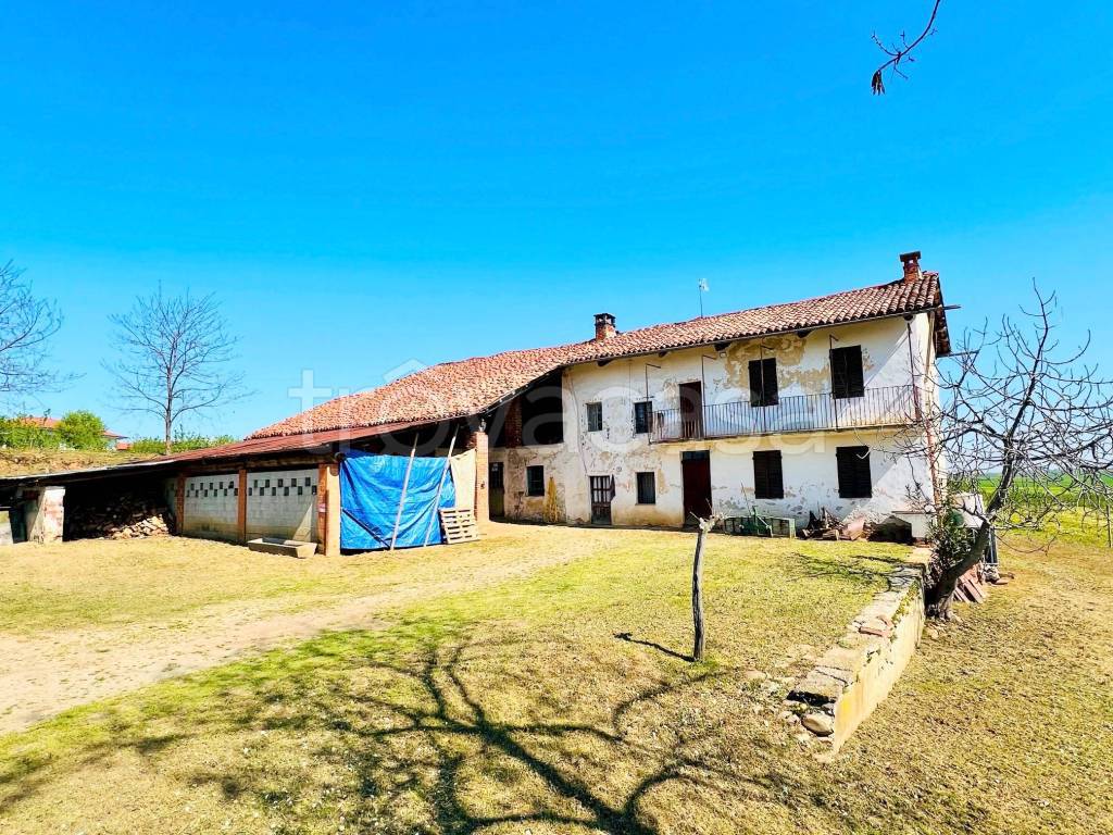immagine annuncio 8 di 15