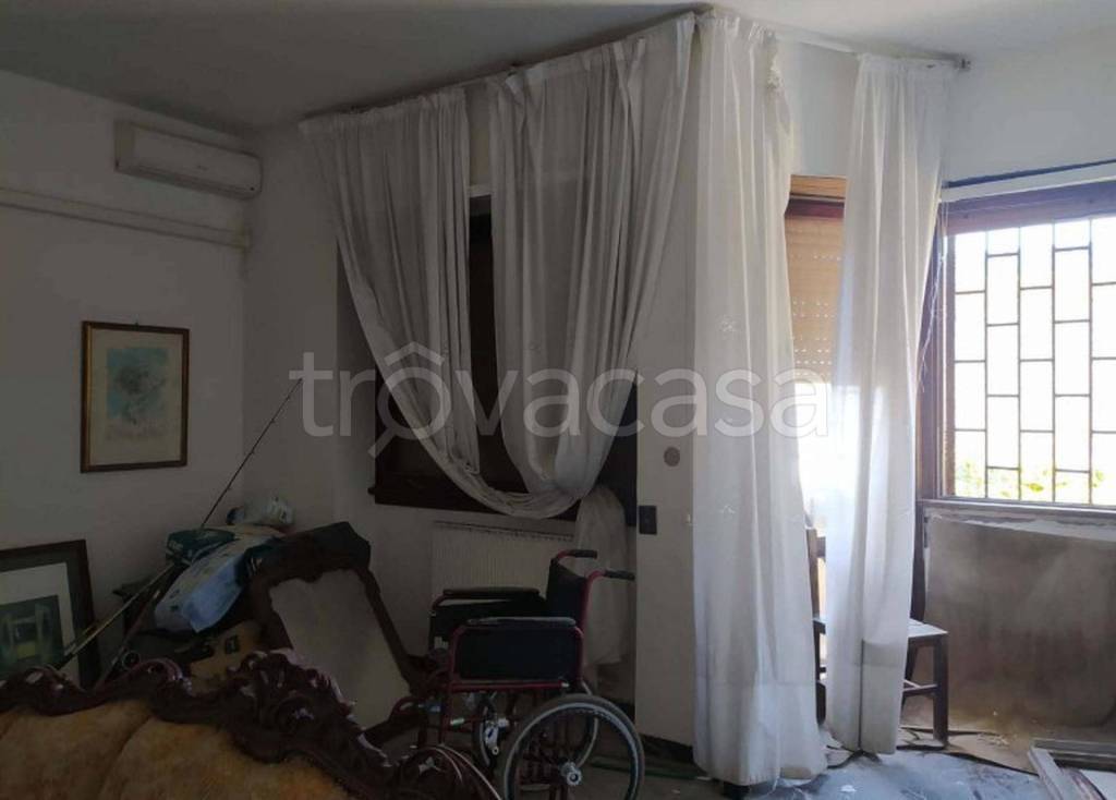 immagine annuncio 12 di 14