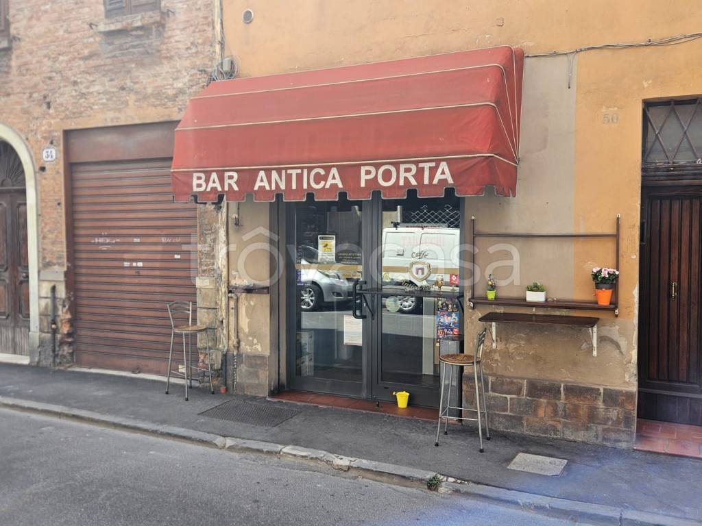 immagine annuncio 13 di 14