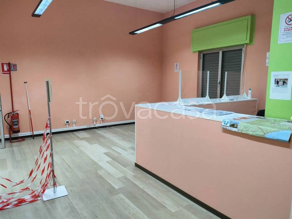 immagine annuncio 3 di 7