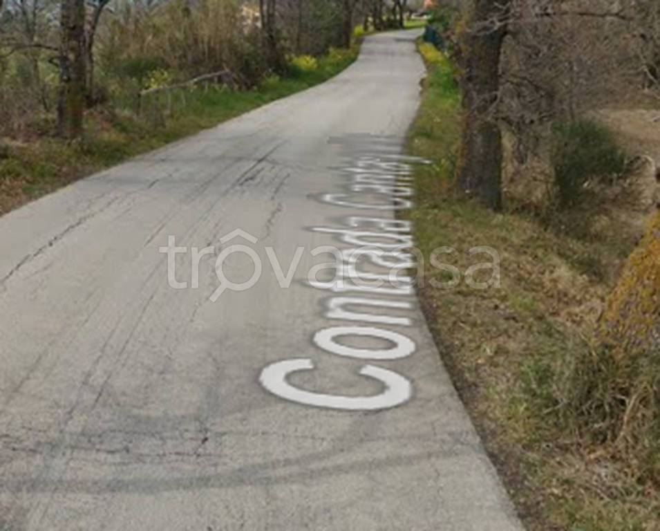 immagine annuncio 6 di 12