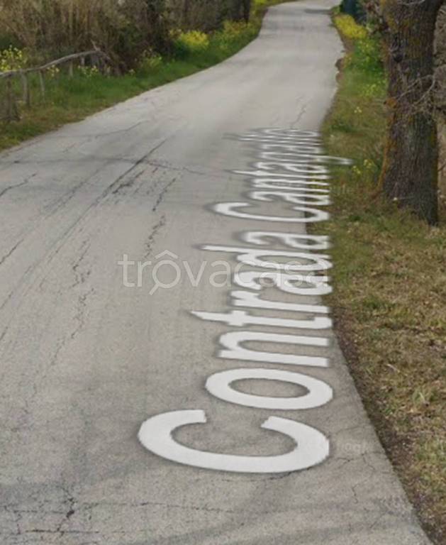 immagine annuncio 7 di 12