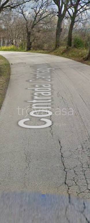 immagine annuncio 10 di 12