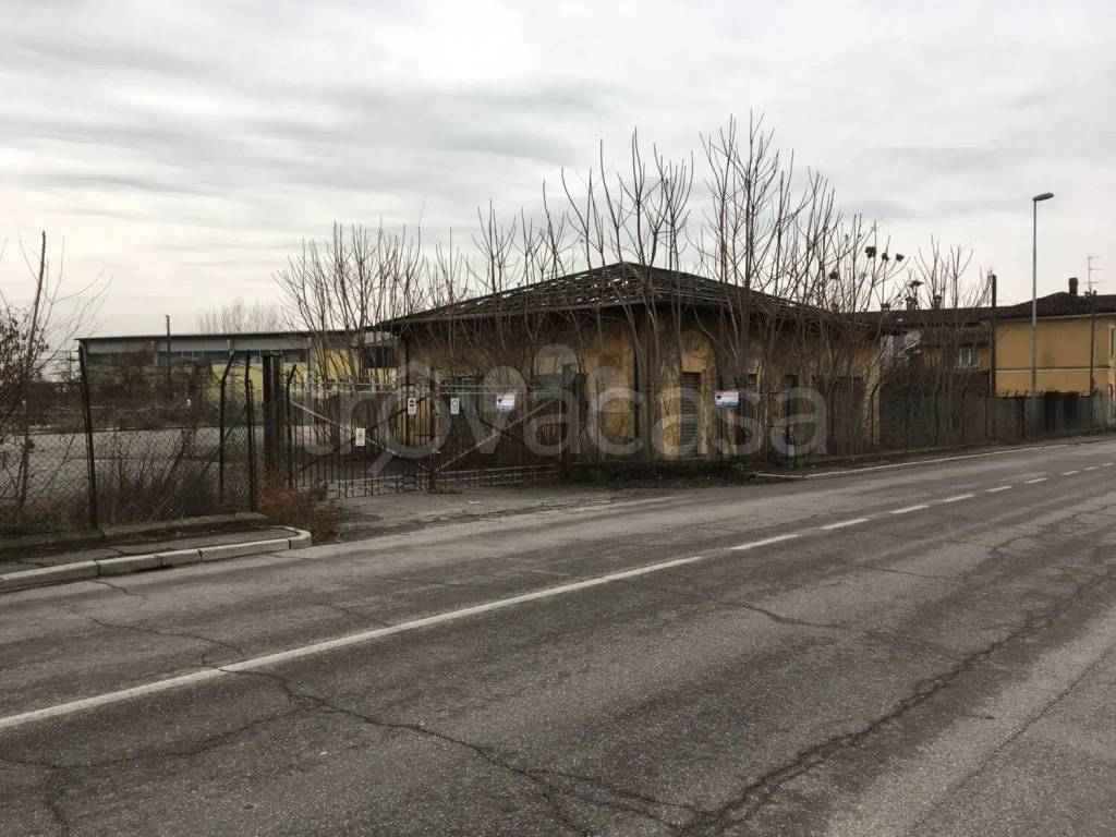 immagine annuncio 9 di 15