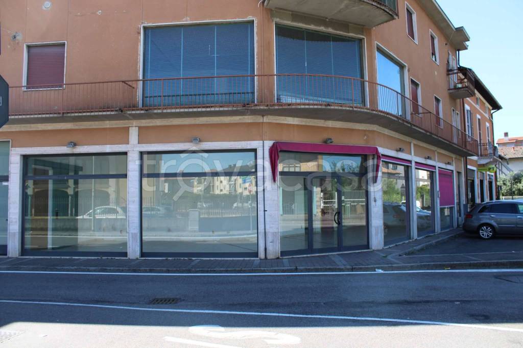 immagine annuncio 4 di 8