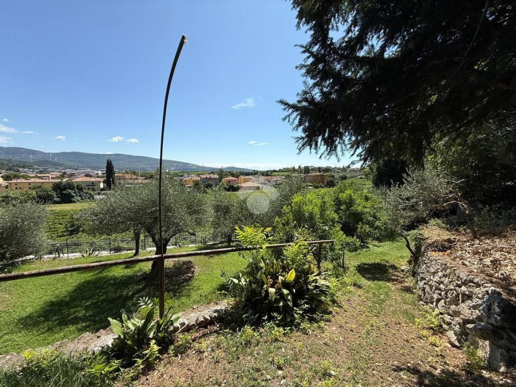 immagine annuncio 6 di 11