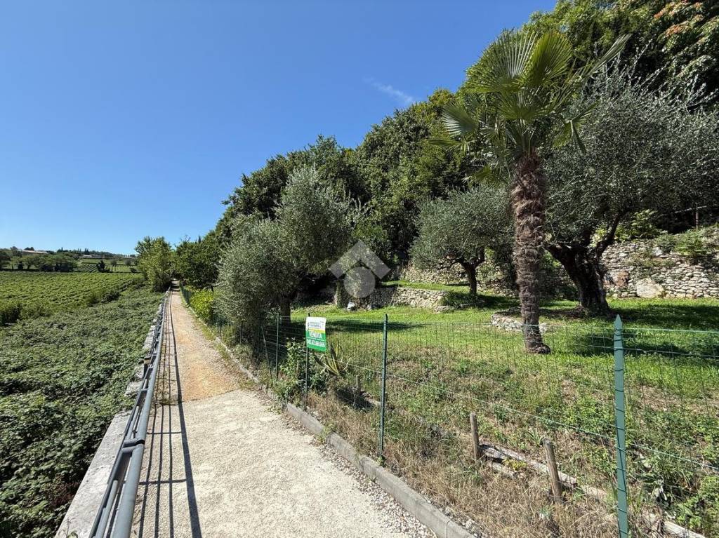 immagine annuncio 9 di 11
