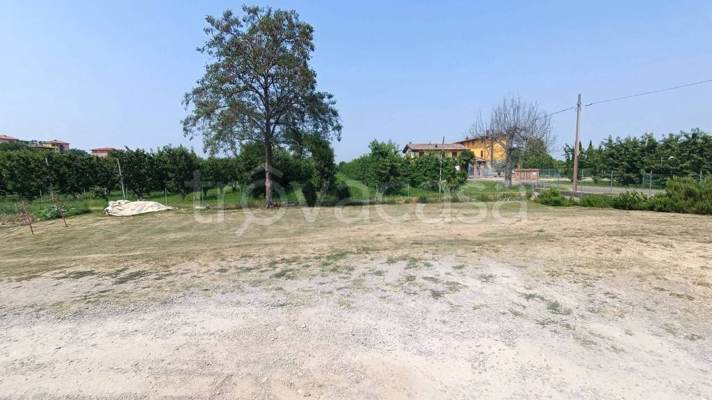 immagine annuncio 5 di 9