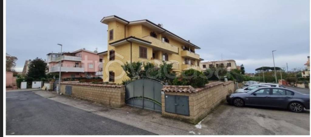 immagine annuncio 2 di 12