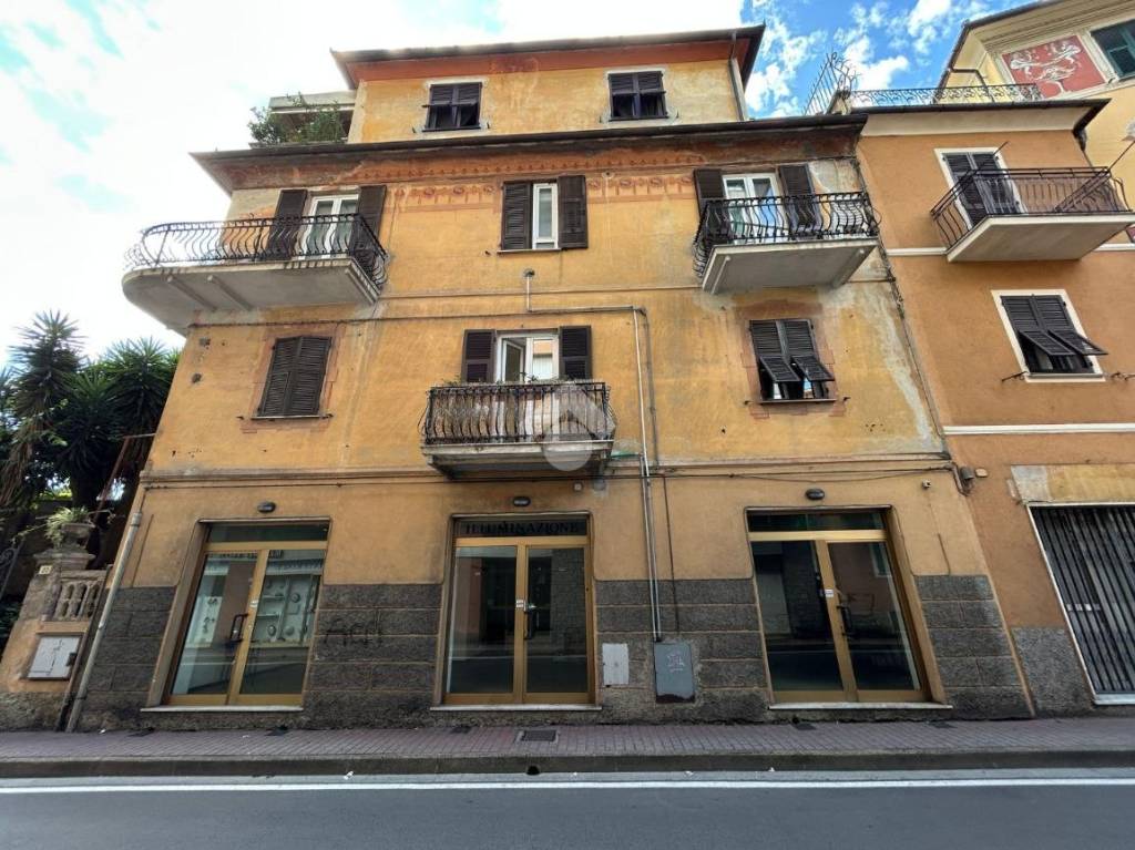 immagine annuncio 3 di 14