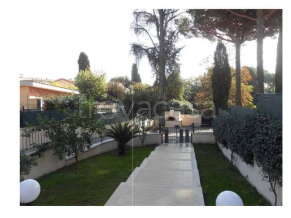 immagine annuncio 6 di 11