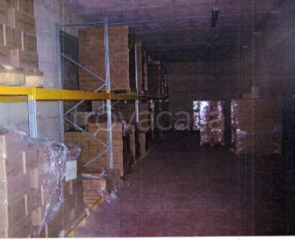 immagine annuncio 9 di 11