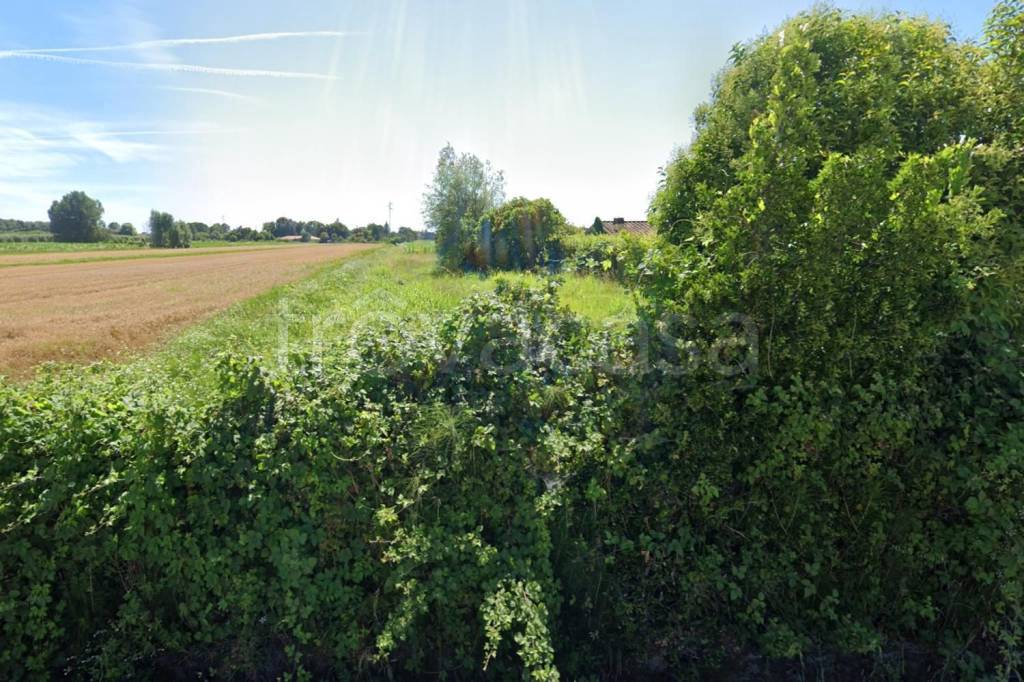 immagine annuncio 3 di 7