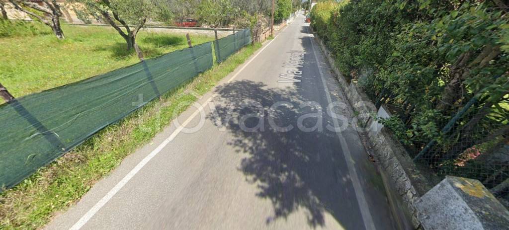 immagine annuncio 10 di 12