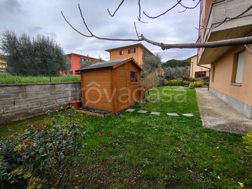 immagine annuncio 9 di 15