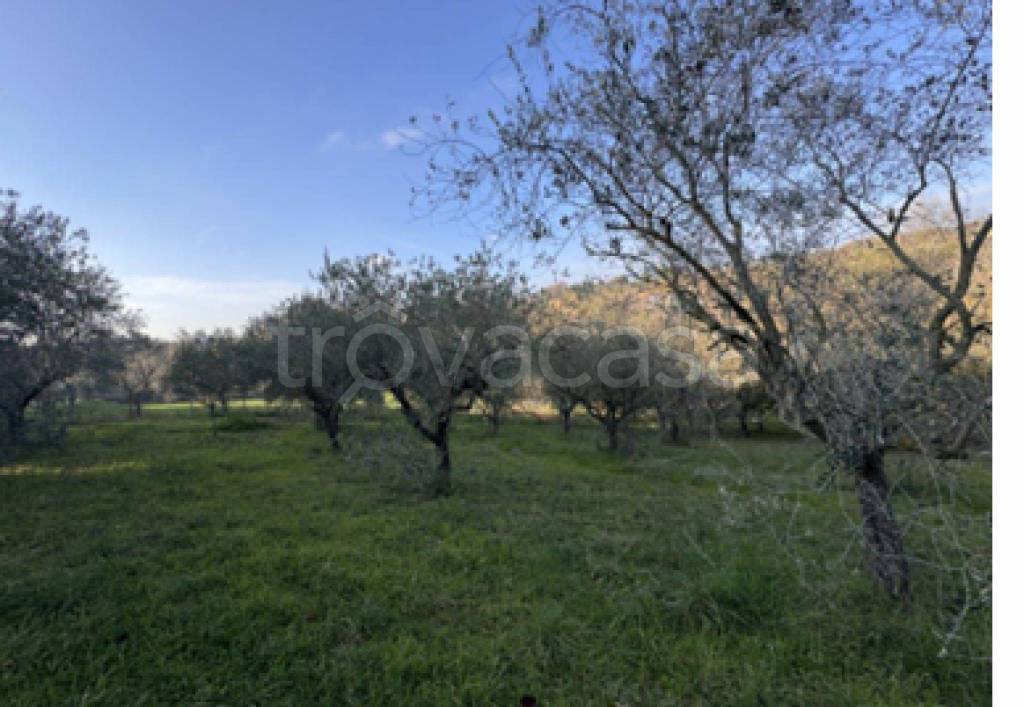 immagine annuncio 7 di 11
