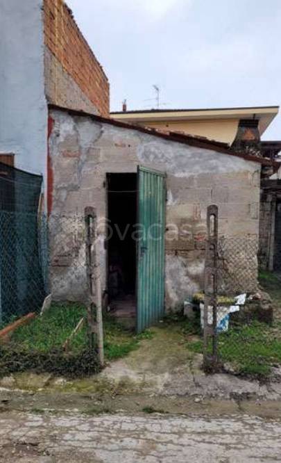 immagine annuncio 9 di 14
