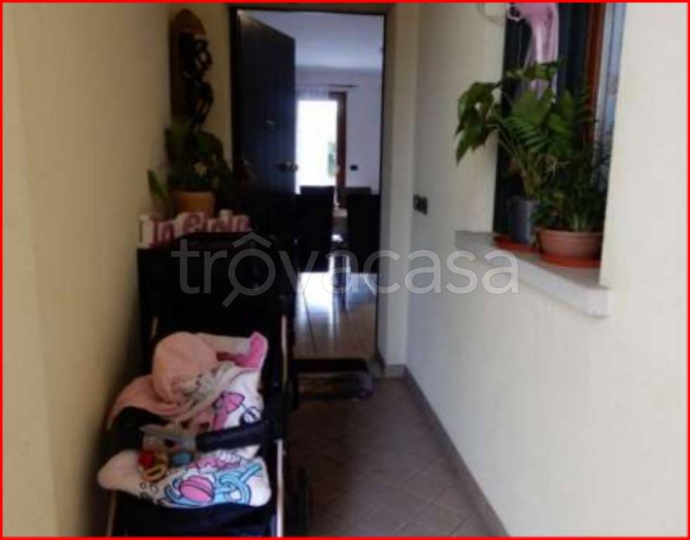 immagine annuncio 9 di 14