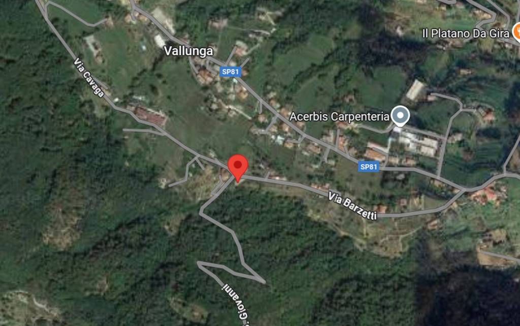 immagine annuncio 12 di 15