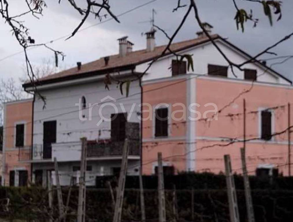 immagine annuncio 9 di 11