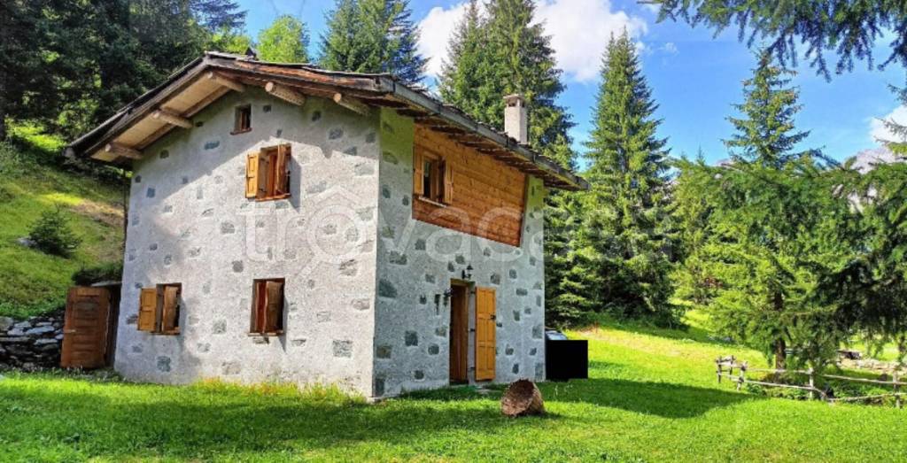 immagine annuncio 2 di 14