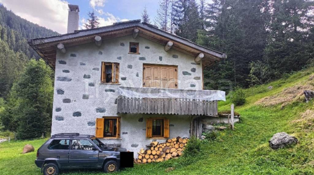 immagine annuncio 3 di 14
