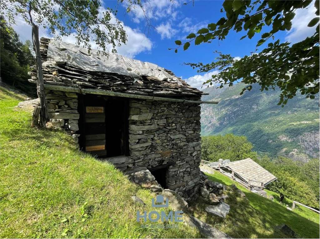 immagine annuncio 4 di 11