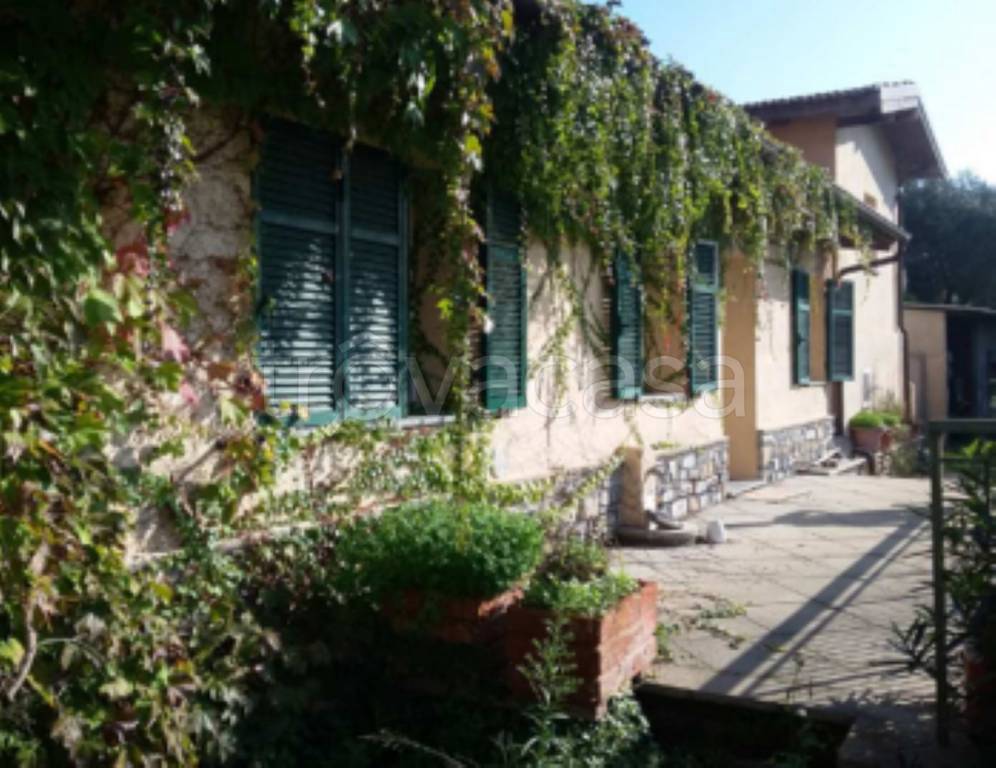 immagine annuncio 4 di 12