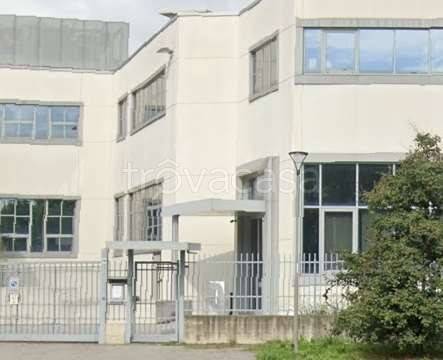 immagine annuncio 3 di 9