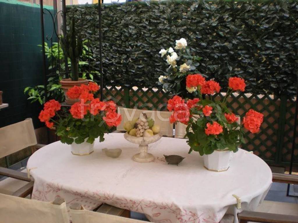 immagine annuncio 3 di 14