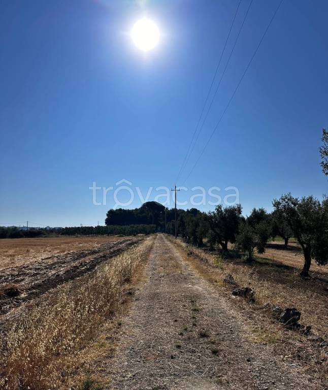 immagine annuncio 11 di 14
