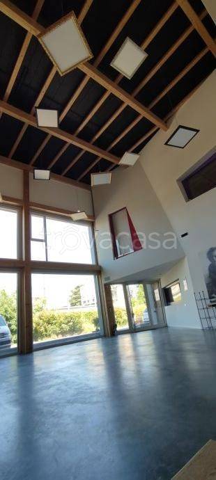 immagine annuncio 7 di 12