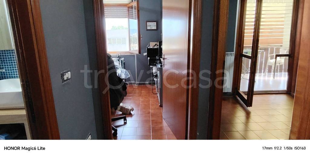 immagine annuncio 8 di 12