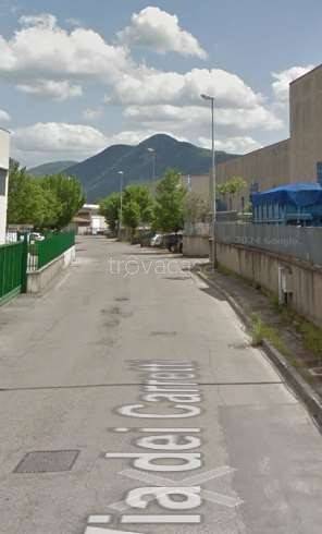 immagine annuncio 4 di 12