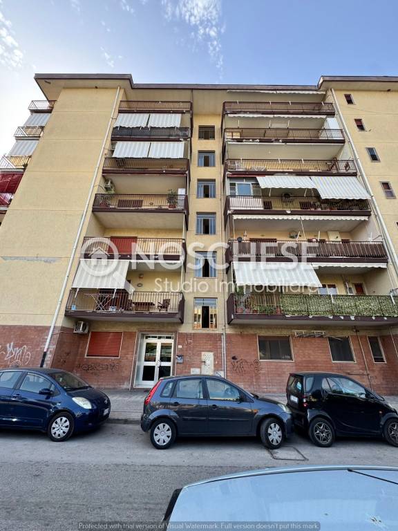 immagine annuncio 6 di 8