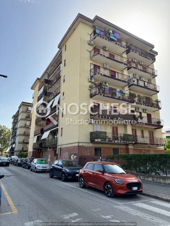 immagine annuncio 7 di 8